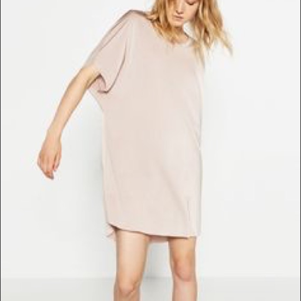 Zara metallic rose dress